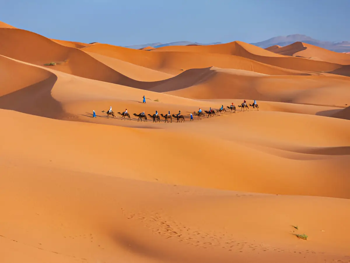 Camel caravan in the Erg Chebbi dunes on a tour from Fes