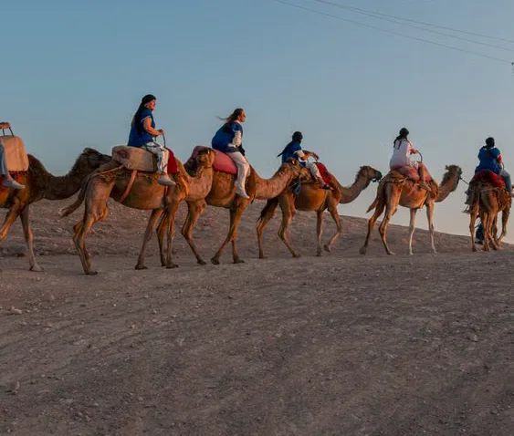 Camel ride in the Agafay desert on a day trip from Casablanca