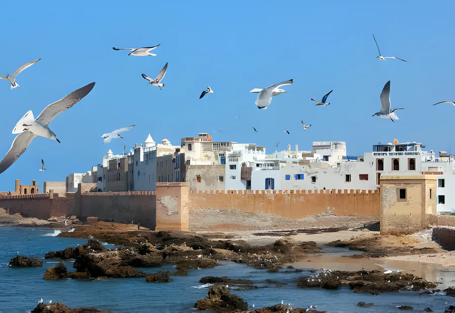 Seagulls over the ocean walls of the Essaouira medina