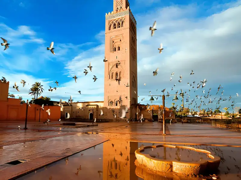 11-day private Morocco tour from Tangier to Marrakech through Chefchaouen, Fes and the Sahara