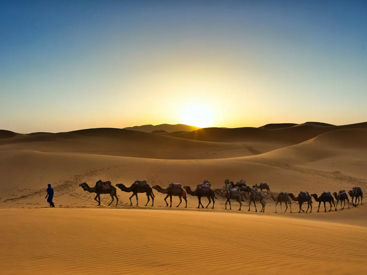 Camel caravan in the Erg Chebbi dunes on a 15-day Morocco tour